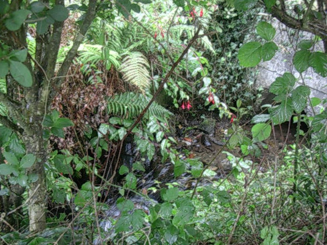 DSCN2639.jpg