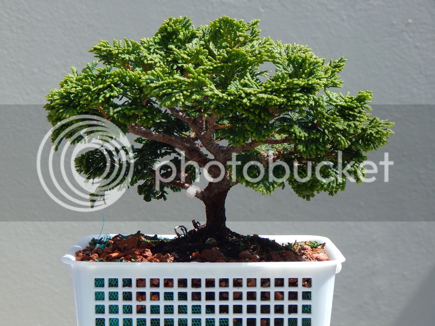 DSCN2652_zpslqximtax.jpg