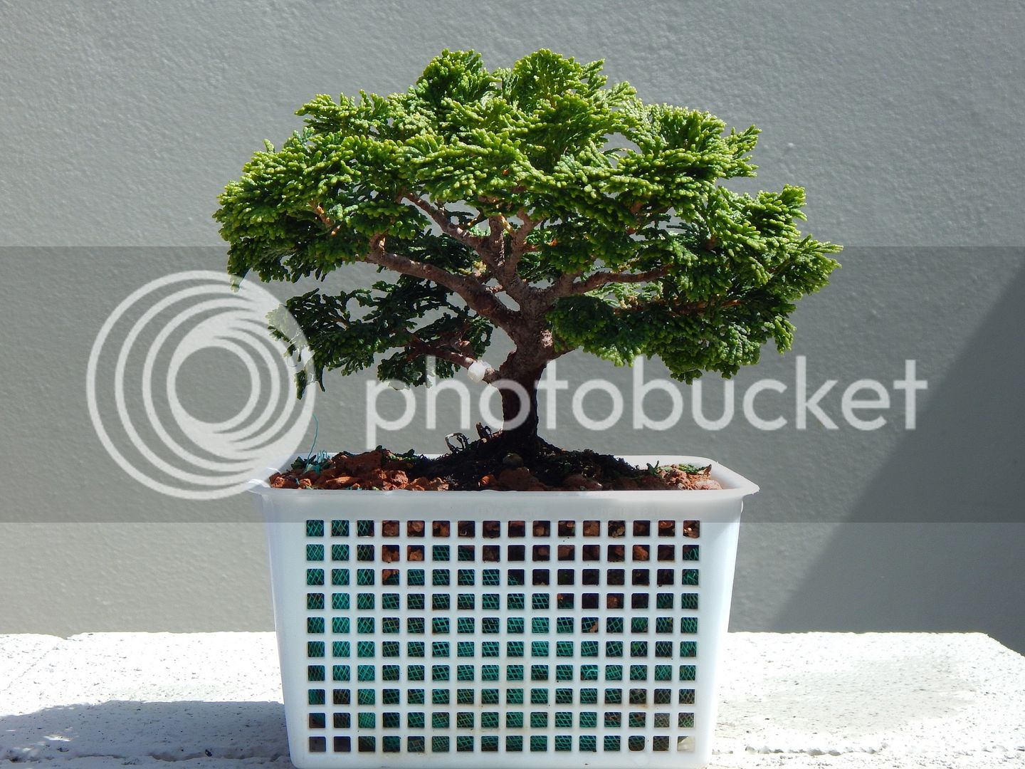 DSCN2658_zps7dwun8da.jpg