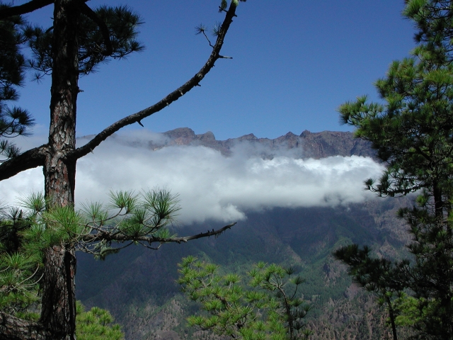 DSCN2690.jpg