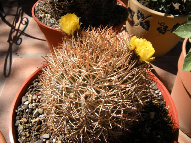 DSCN2696.JPG