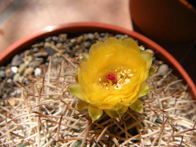 DSCN2698.JPG