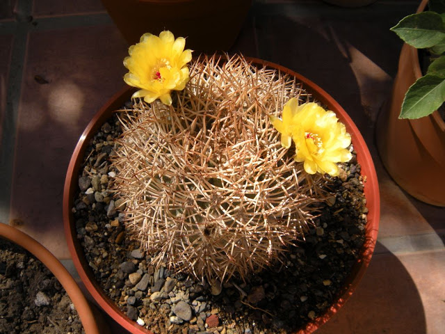 DSCN2699.JPG