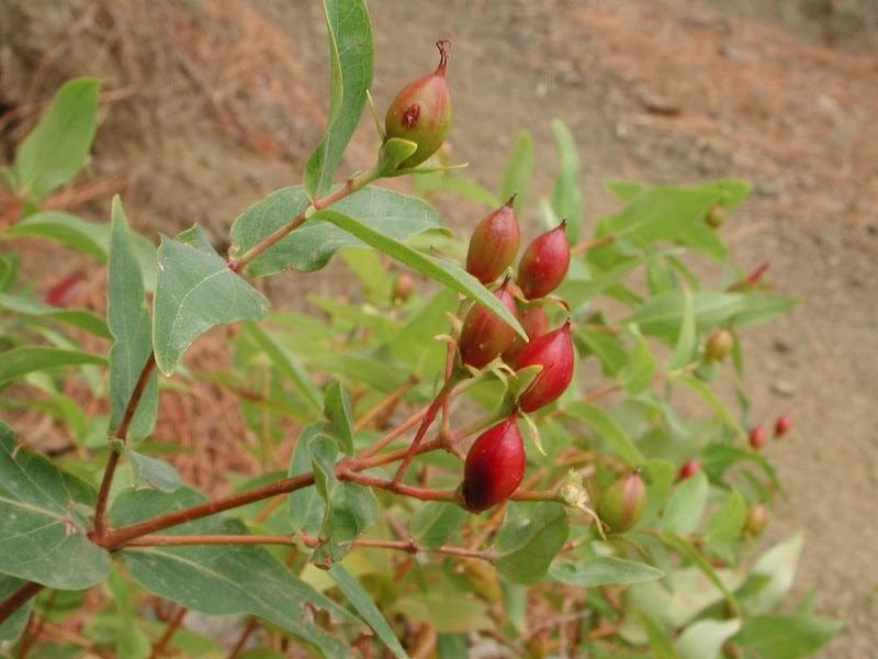 DSCN2707.JPG