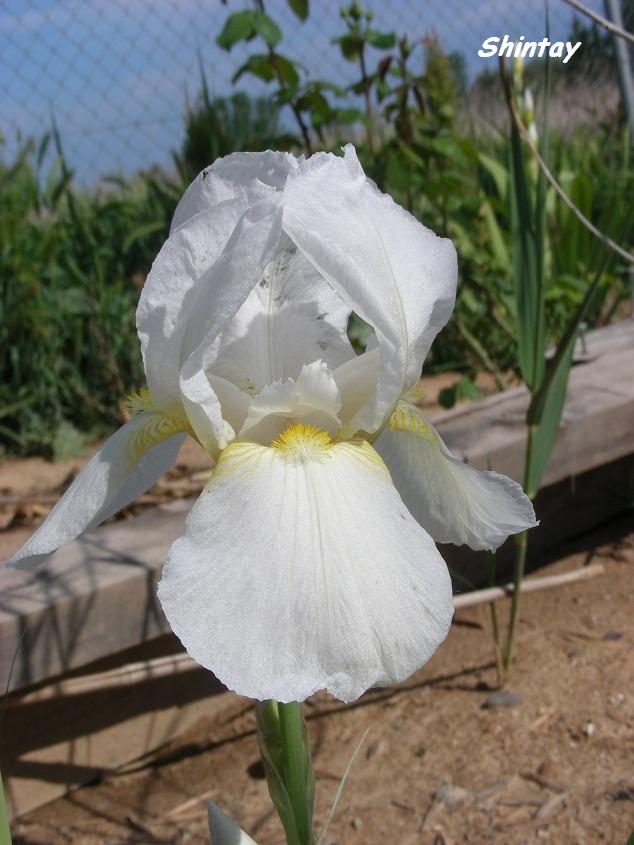 DSCN2713.JPG