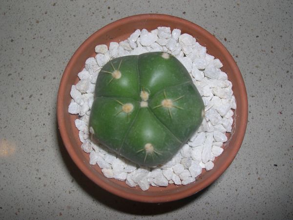 DSCN2723_.JPG