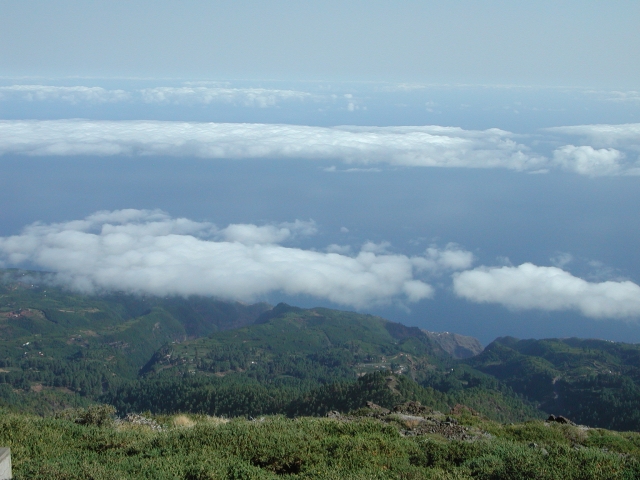 DSCN2785.jpg