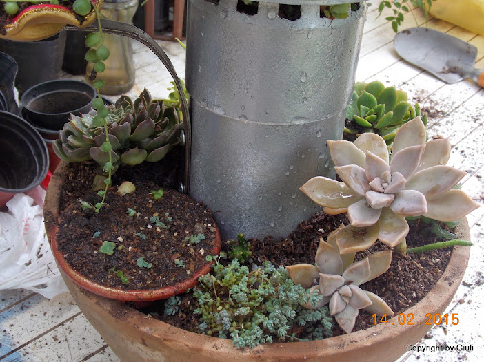 DSCN2796.JPG
