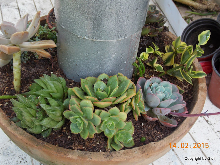 DSCN2800.JPG