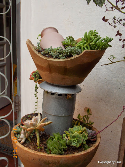 DSCN2803.JPG