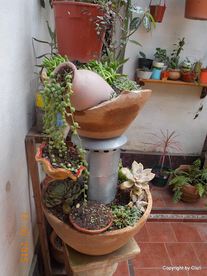 DSCN2804.JPG