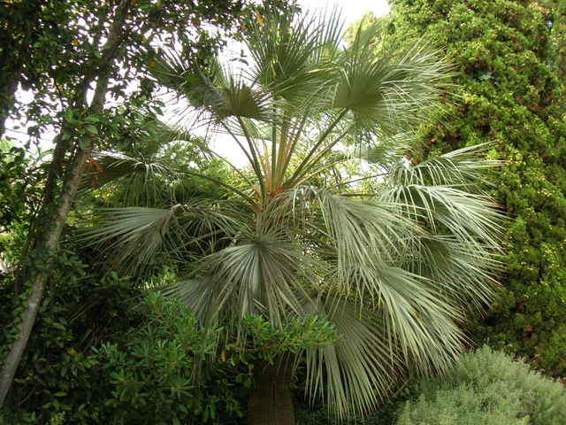 DSCN2805.jpg