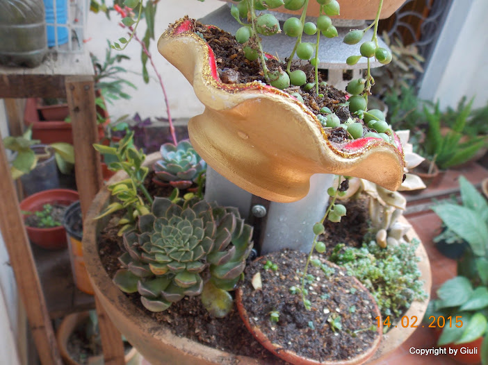 DSCN2805.JPG