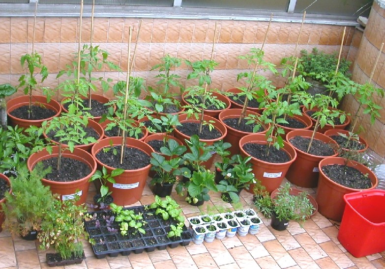 DSCN2806.JPG