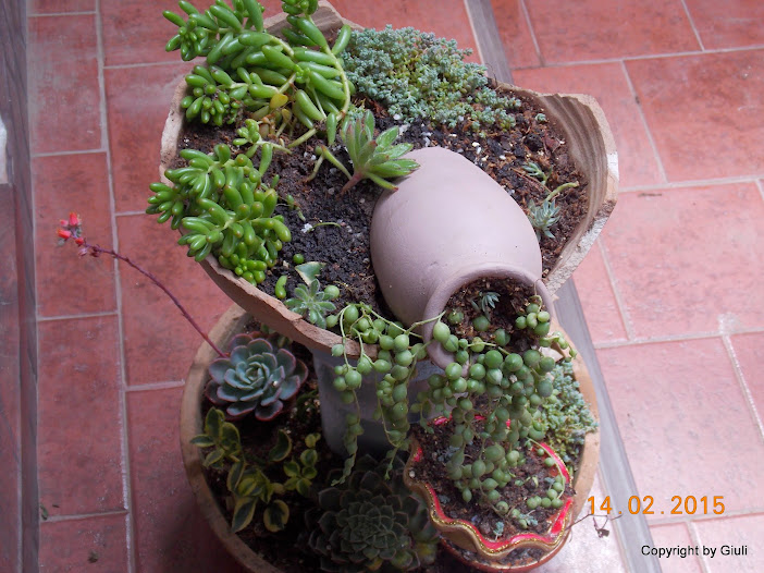 DSCN2806.JPG
