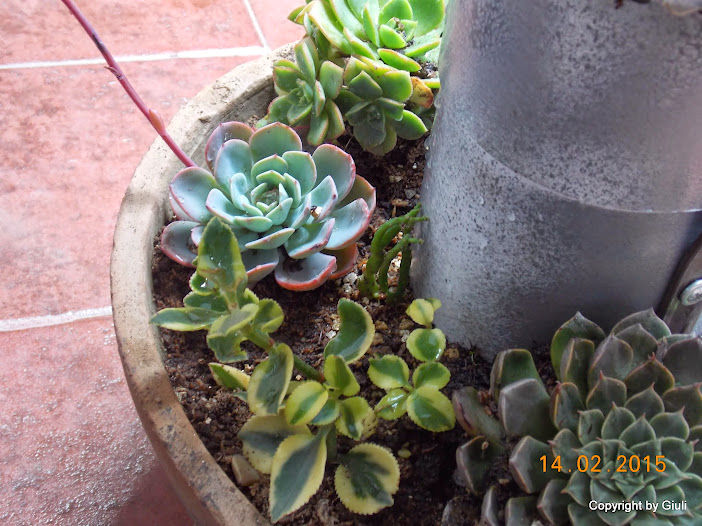 DSCN2807.JPG