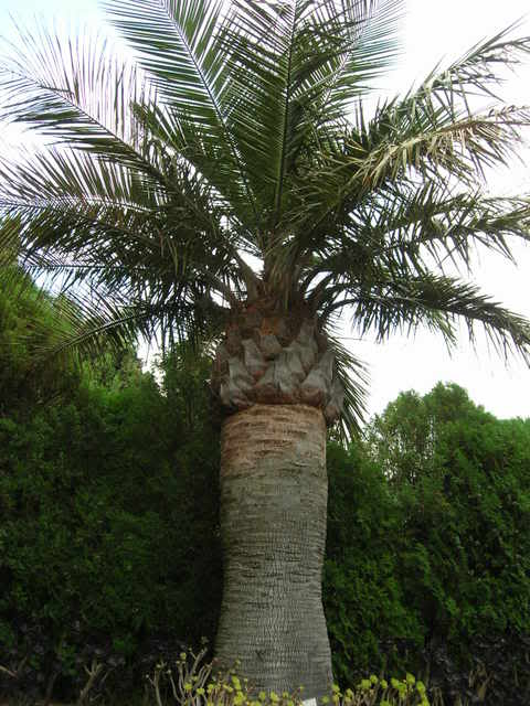 DSCN2815.jpg