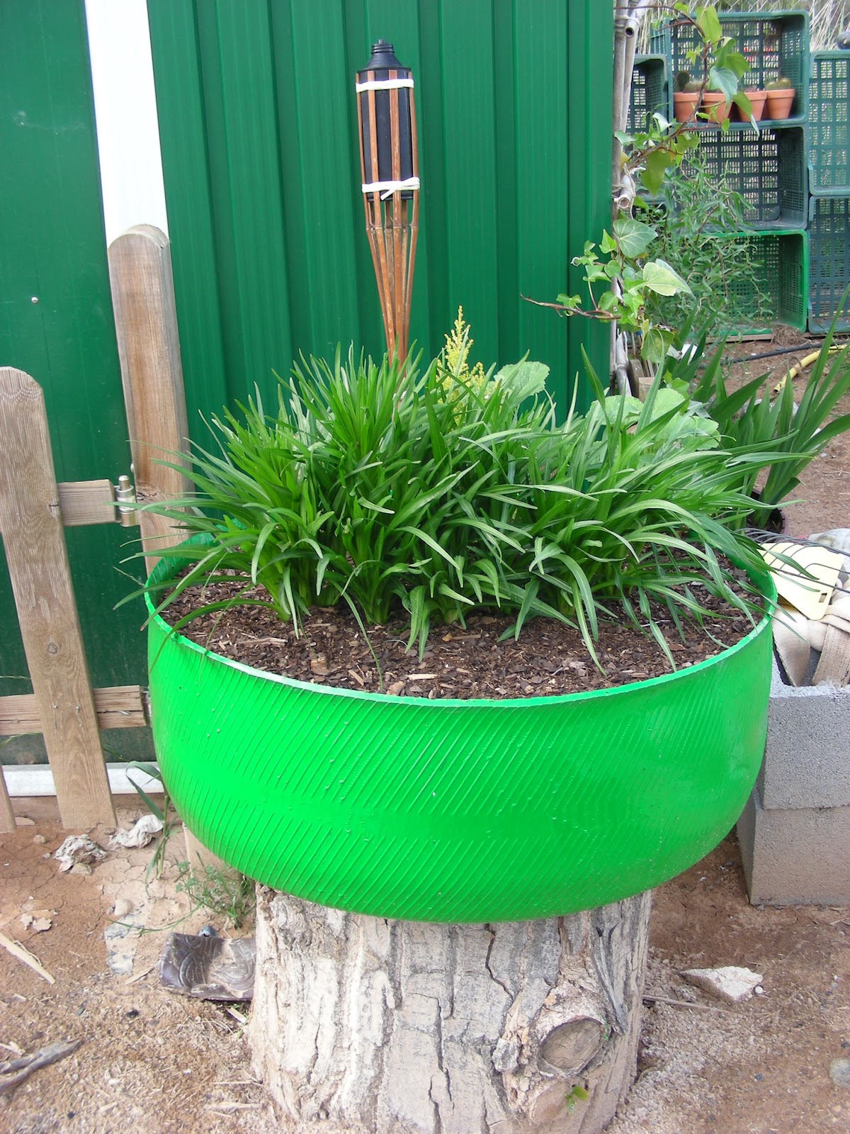 DSCN2826.JPG