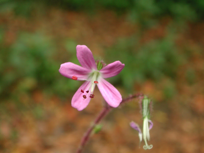 DSCN2837.JPG