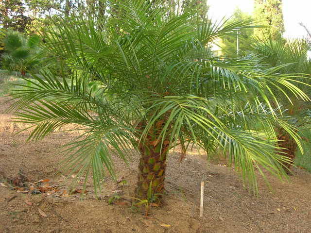DSCN2839.jpg