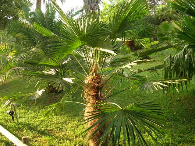 DSCN2845.jpg