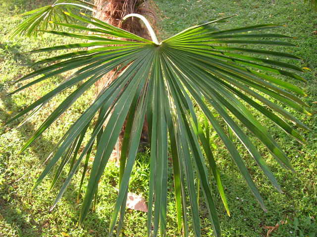 DSCN2846.jpg