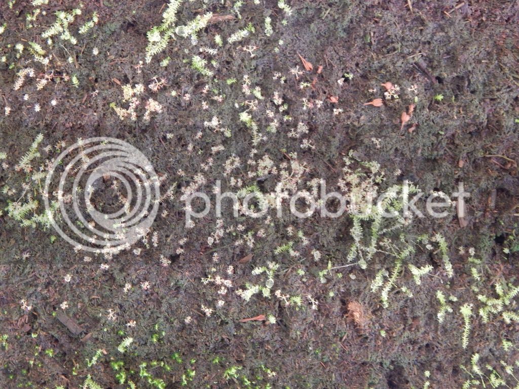DSCN2853_zpse9s5hglz.jpg