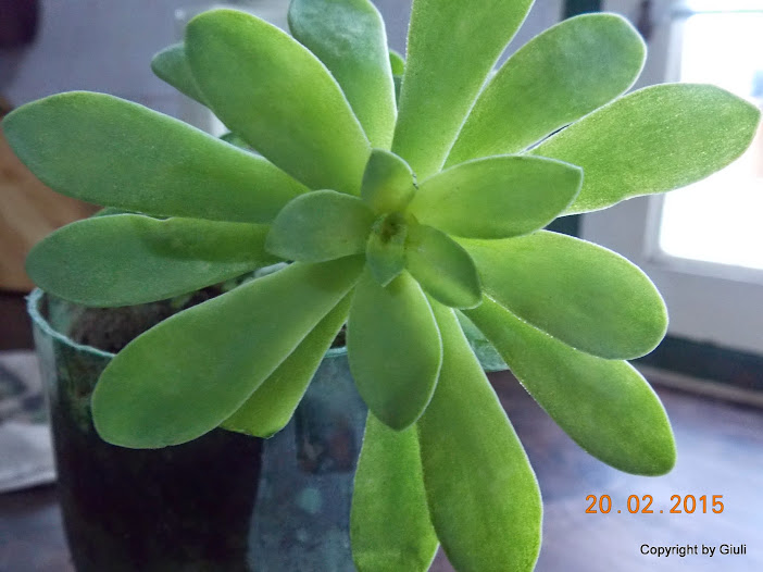 DSCN2863.JPG
