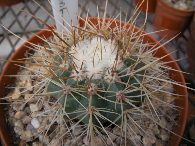 DSCN2896.JPG