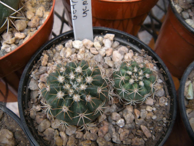 DSCN2900.JPG