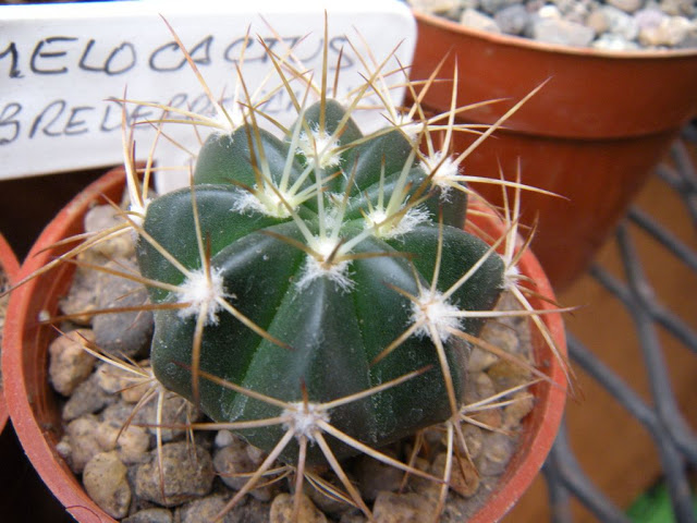 DSCN2902.JPG