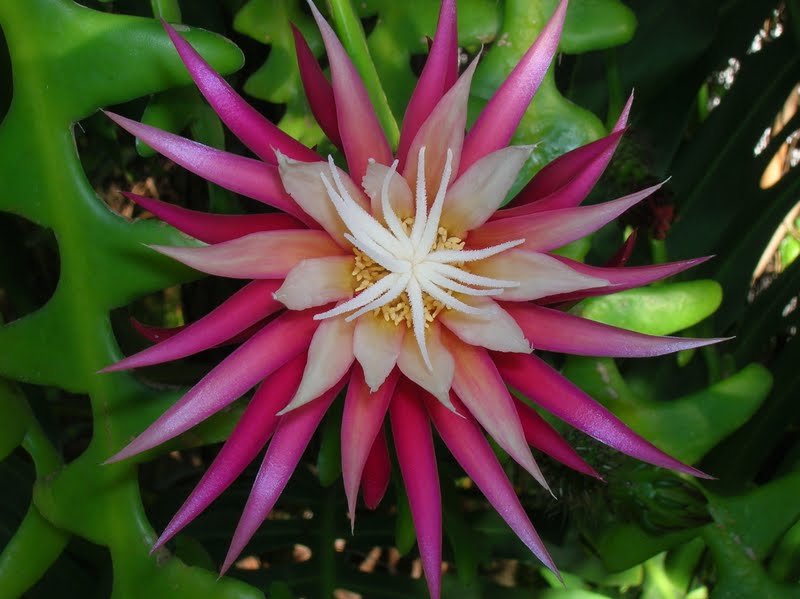 DSCN2913.JPG