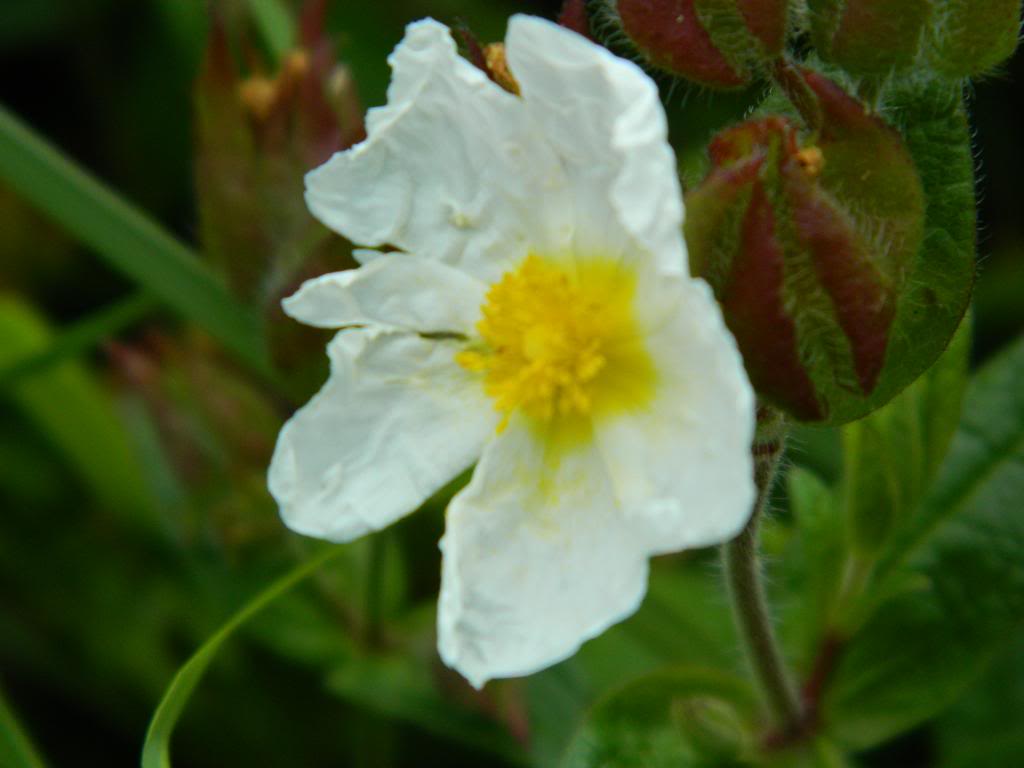 DSCN2933.jpg