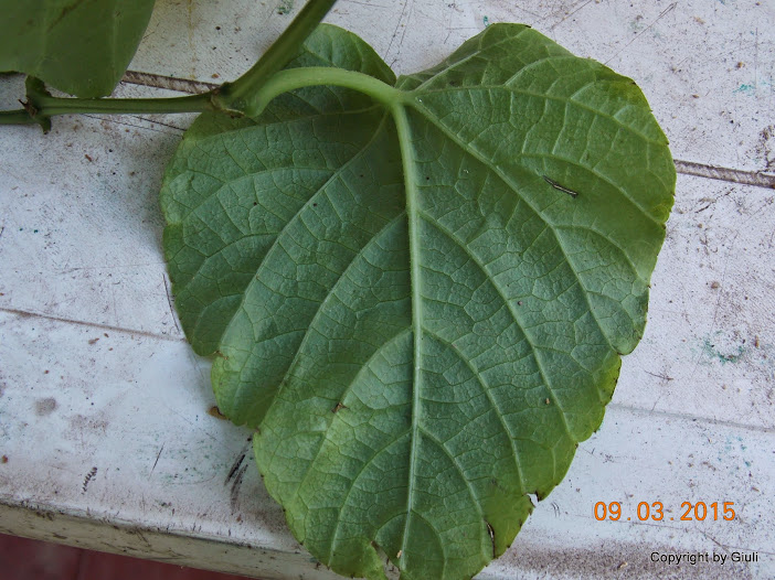 DSCN2940.JPG