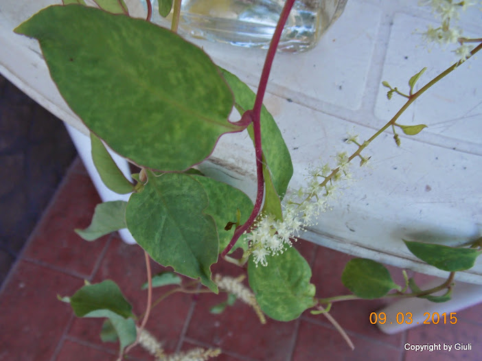 DSCN2945.JPG