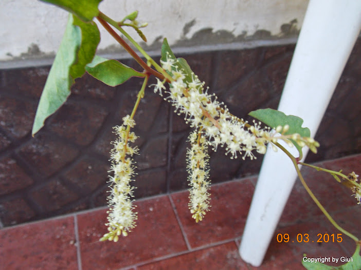 DSCN2946.JPG