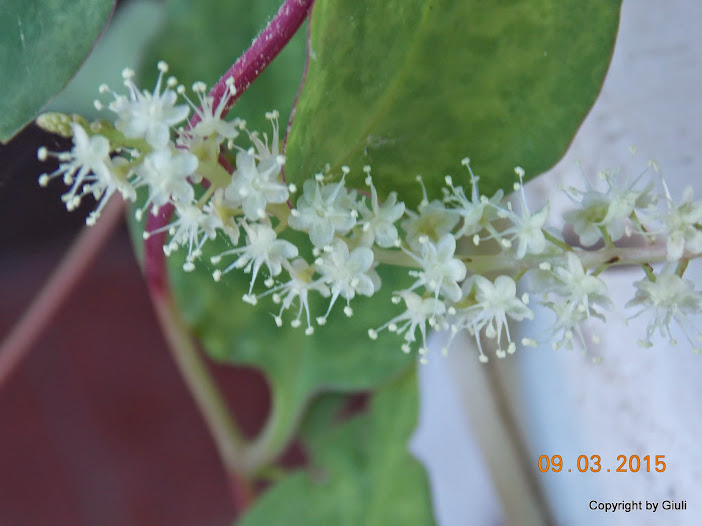 DSCN2948.JPG