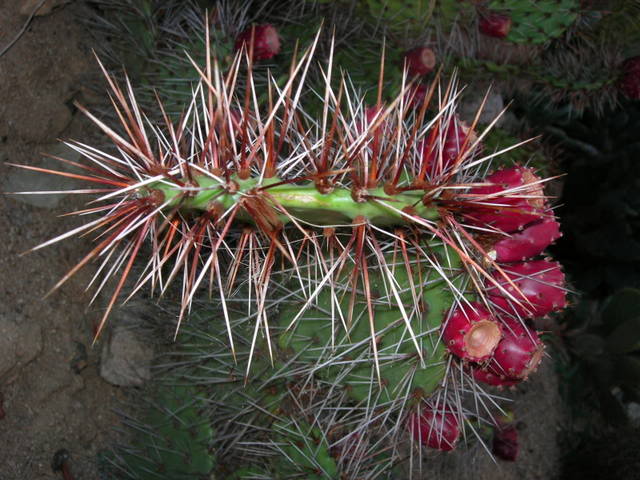 DSCN2958.jpg