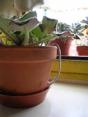 DSCN2974.jpg