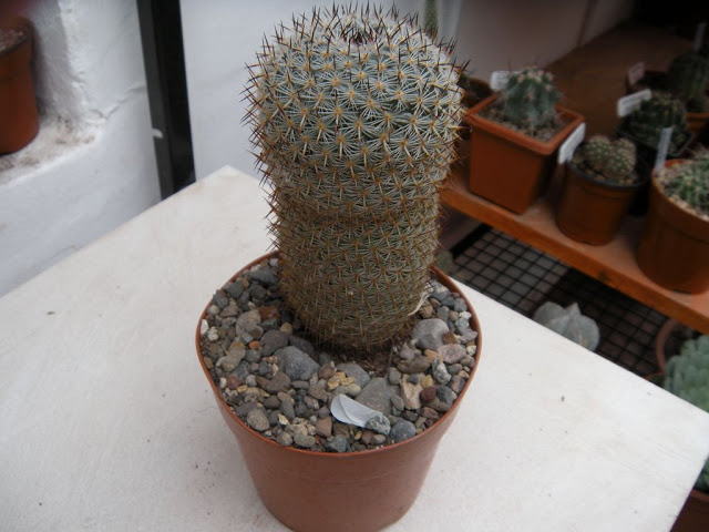 DSCN3012.JPG