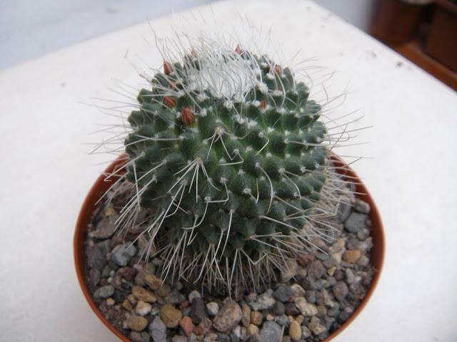 DSCN3018.JPG