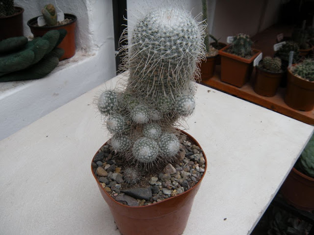 DSCN3020.JPG