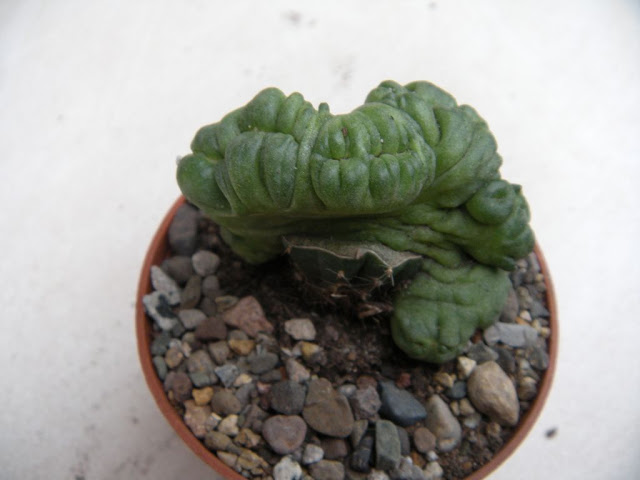 DSCN3030.JPG