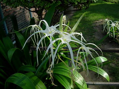 DSCN3041.JPG
