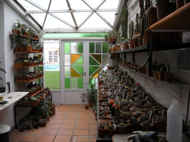 DSCN3048.JPG