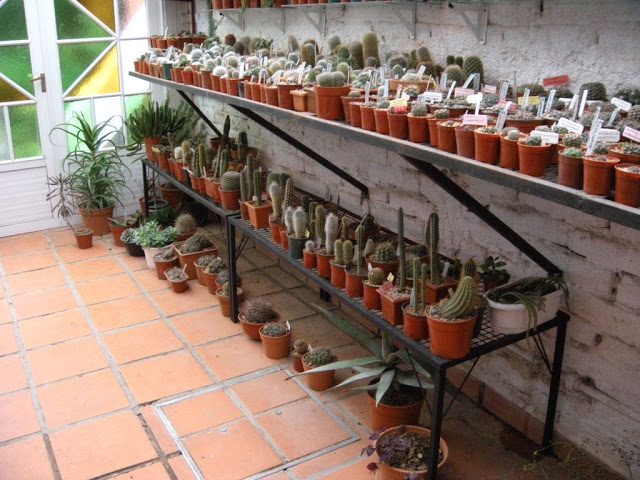 DSCN3049.JPG