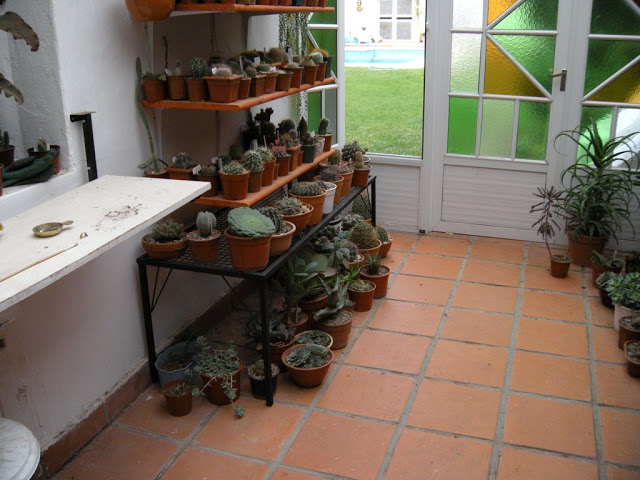 DSCN3050.JPG