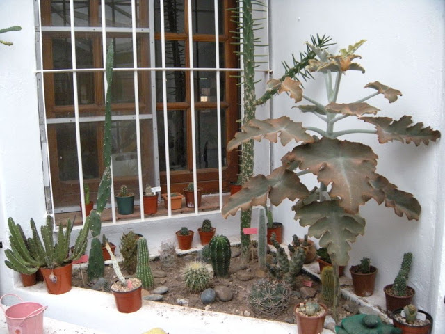 DSCN3051.JPG
