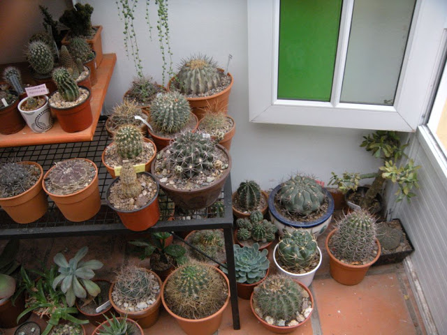 DSCN3052.JPG