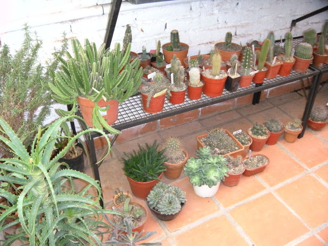 DSCN3053.JPG